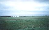 Moulton Marsh