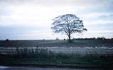 Moulton Common