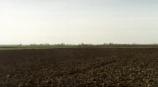 Ramsey Fen