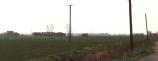 Thorpe Fen