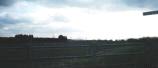 Walpole Marsh