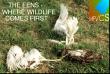 Wildlife