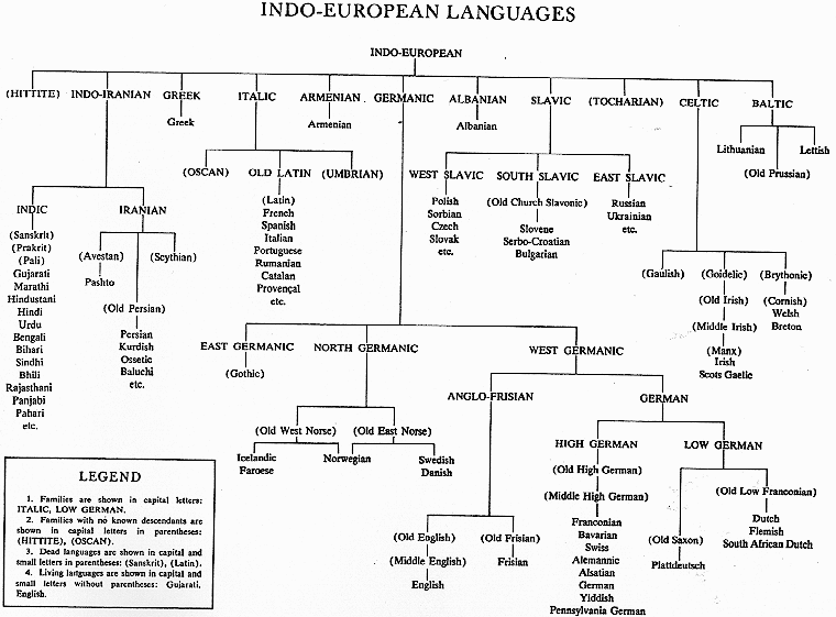 Indo European Language Chart