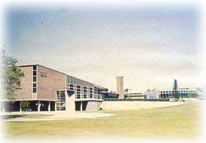 whs