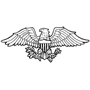 American Eagle