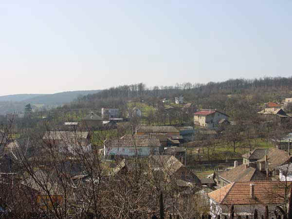 gh_2002_02.jpg (42884 octets)