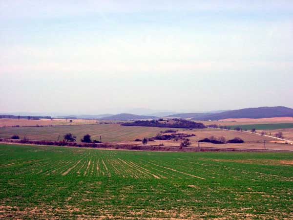 gh_2002_72
