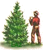 /user/woodlog.jpg