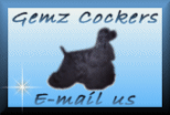 Send E-Mail to Gemz Cockers