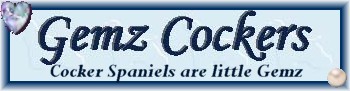 Gemz Cockers