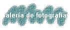 Galera de fotografas