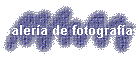 Galera de fotografas