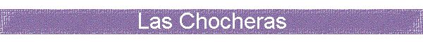 Las Chocheras