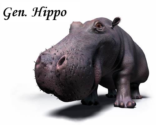 Ride The Hippo !
