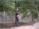 Trails5.JPG