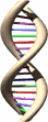 Dna.gif (16225 bytes)