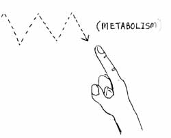 sign_m.jpg (10509 bytes)