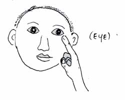 sign_o.jpg (12726 bytes)