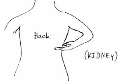 sign_p.jpg (10054 bytes)