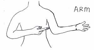 sign_r.jpg (11131 bytes)