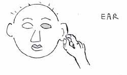 sign_u.jpg (10762 bytes)