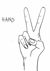 sign_v.jpg (12580 bytes)