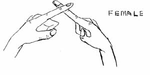 sign_x.jpg (11278 bytes)