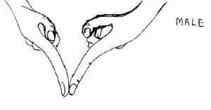 sign_y.jpg (11037 bytes)