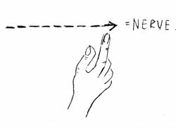 sign_z.jpg (9422 bytes)