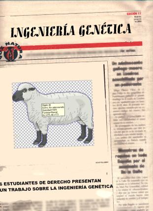 portada2.gif (77592 bytes)