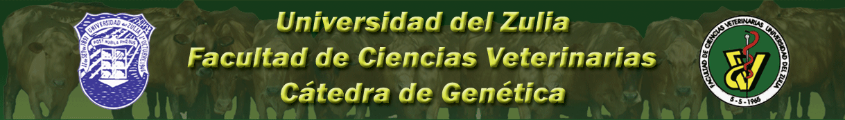 Facultad de Veterinaria