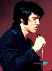 look at those shag sideburns! so freakin' hott! sizzle!