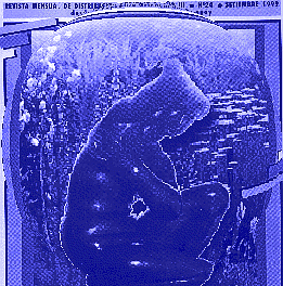 HAZ CLIK PARA ENTRAR A LAS PAGINAS DE LA REVISTA