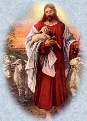 lamb