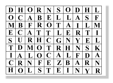 Word Search
