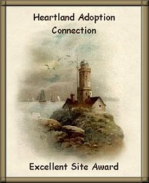 Excellent Site Award 'C'