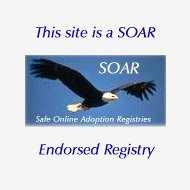 S.O.A.R endorsement graphic