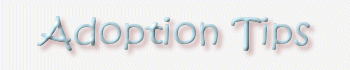 Adoption Tips Heading
