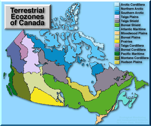 Ecozones Map of Canada