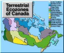 Learn about 
Canada's Ecozones