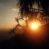 From dawn till dusk...