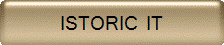 ISTORIC  IT