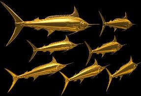  Fish
