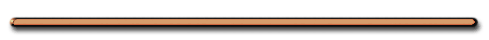 smmetcop.gif (1937 bytes)