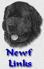 Newfie Links