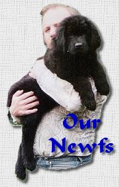 Our Newfs