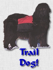 Trail Dog