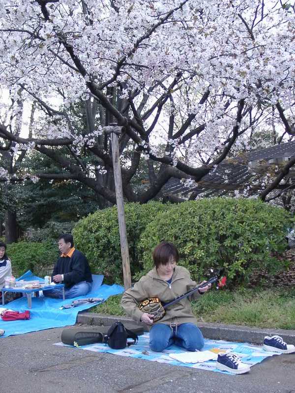 Ueno parc, Tokyo [click to return]
