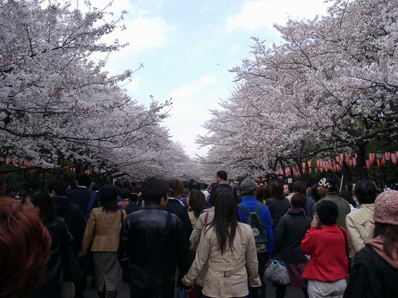 Ueno parc, Tokyo [click to return]