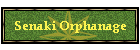 Senaki Orphanage